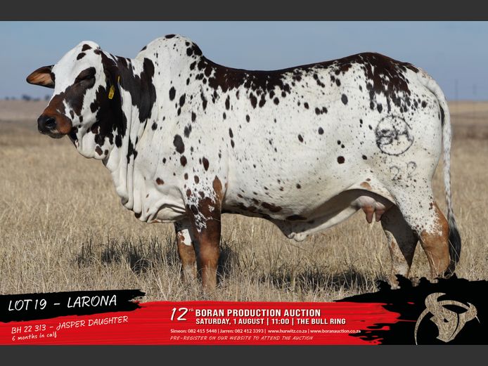 BH 220313 | HURWITZ FARMING