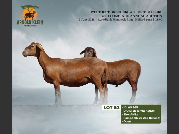 AS 265 | Arnold Klein Meatmaster
