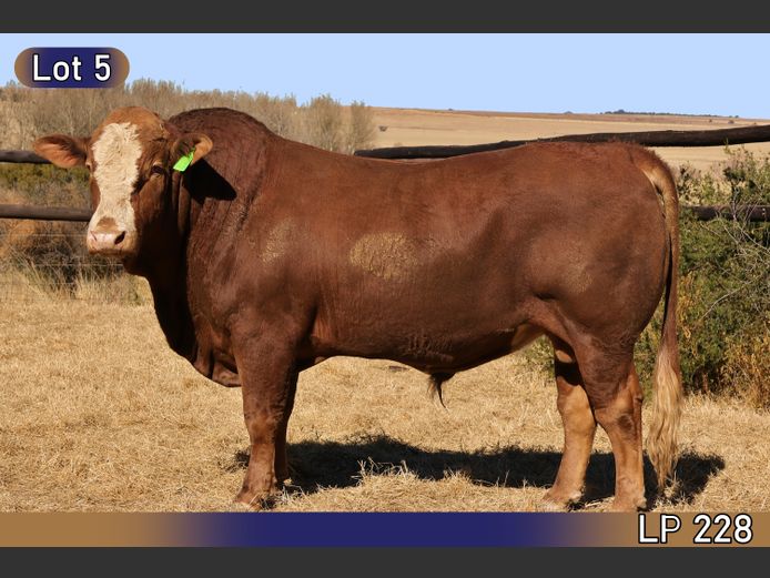 LP228 | MARATANA BOERDERY 