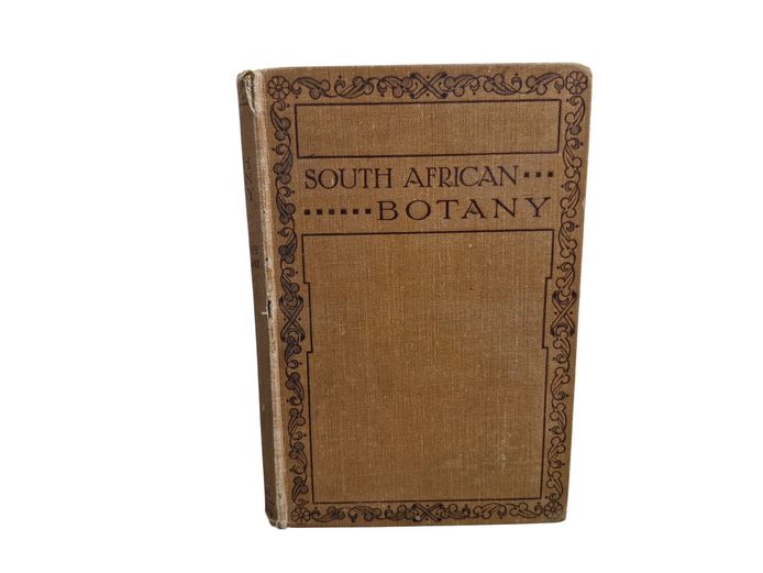 1931 South African Botany by F.W. Storry & K.M. Wright