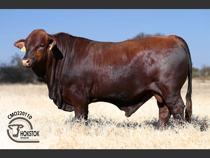 CMO 220010 | WILDEHONDEPAN TRUST
