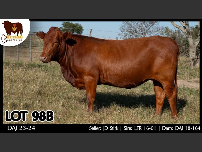 DAJ 230024 | J.D. STIRK