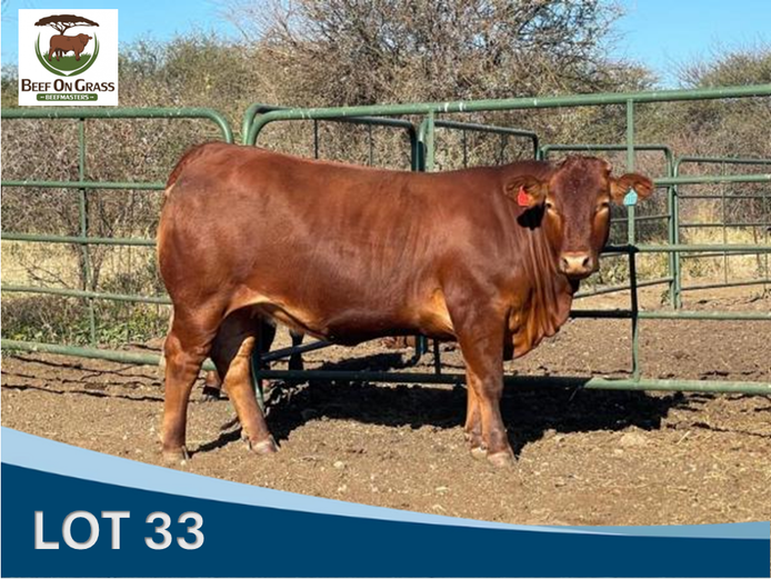JAN 222150 | BEEF ON GRASS PTY LTD