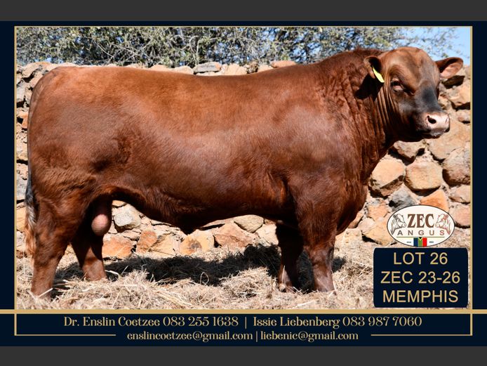 ZEC 230026 | Z.E. COETZEE