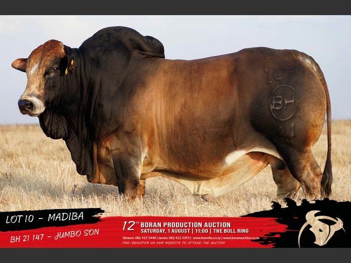 BH 210147 | HURWITZ FARMING