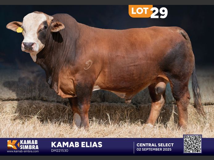 DM221530 | KAMAB SIMBRA