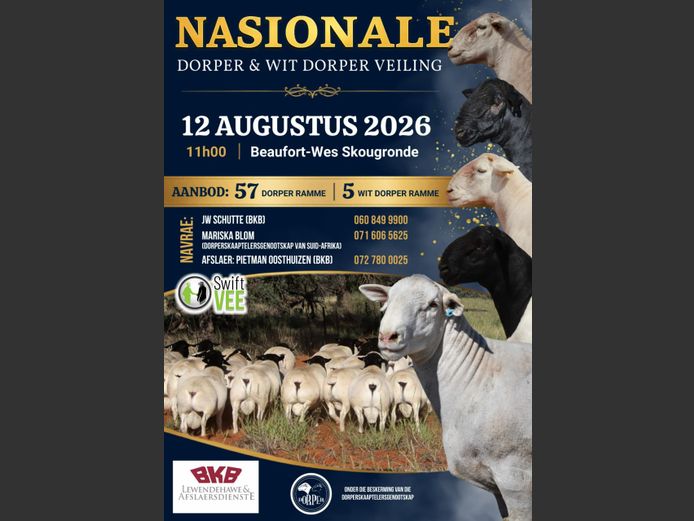 NASIONALE DORPER & WIT DORPER VEILING