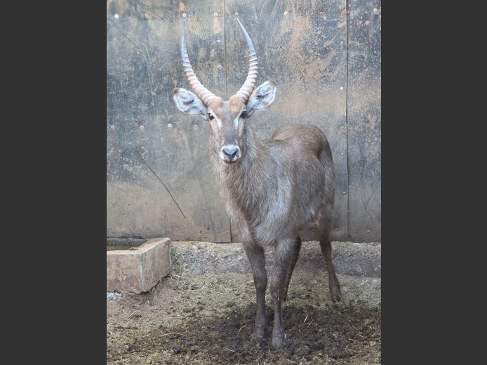 WATERBOK | HUGOMOND BOERDERY