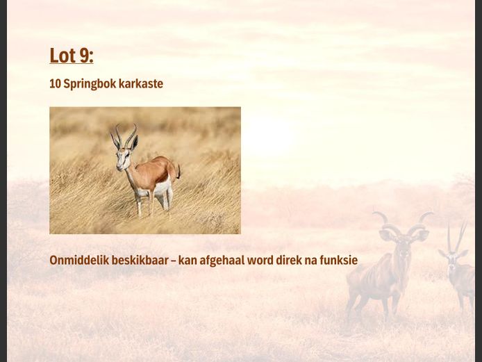 Springbok karkaste