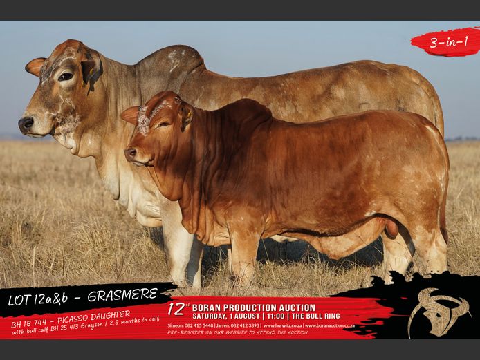 BH 250413 | HURWITZ FARMING