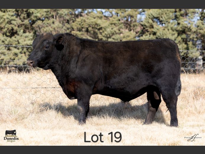 KCM 230008 | TABLE HILL FARMING PTY LTD