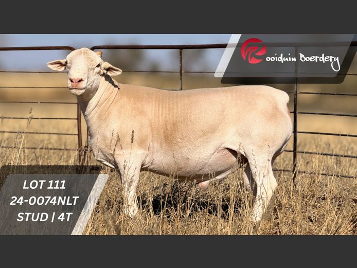 24-0074NLT | ROOIDUIN BOERDERY