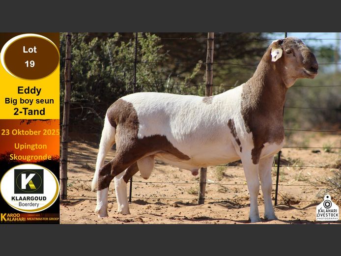 CP 19 | Chris Potgieter & Christia Scholtz - Klaargoud Boerdery