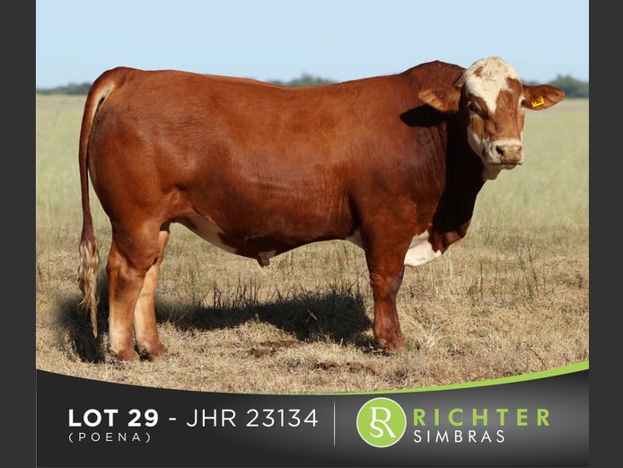 JHR23134C