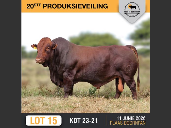 KDT 23-21 | J.P.F. DU TOIT