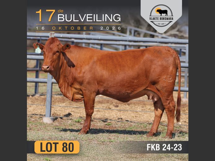 FKB240023 | FRITS KROON BOERDERY