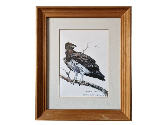 Doreen Flanagan 1991 "Martial Eagle" Signed Lithograph