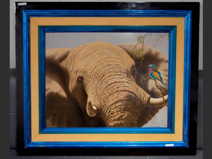 FRAMED OIL ON BOARD "ELEPHANT & BIRD" SIGNED ROB MACINTOSH & NUMBERED 6/50, 68 x 53cm