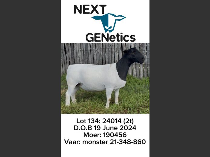 24014 | NEXT GENETICS