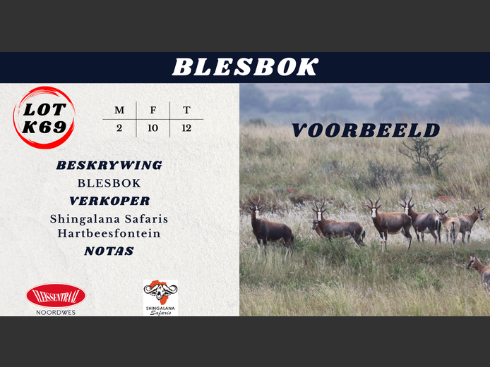 BLESBOK