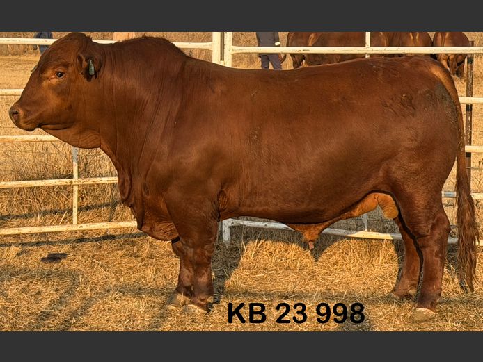 KB23998