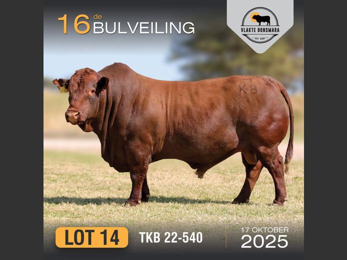 TKB 220540 | TIAN KRUGER BOERDERY PTY LTD