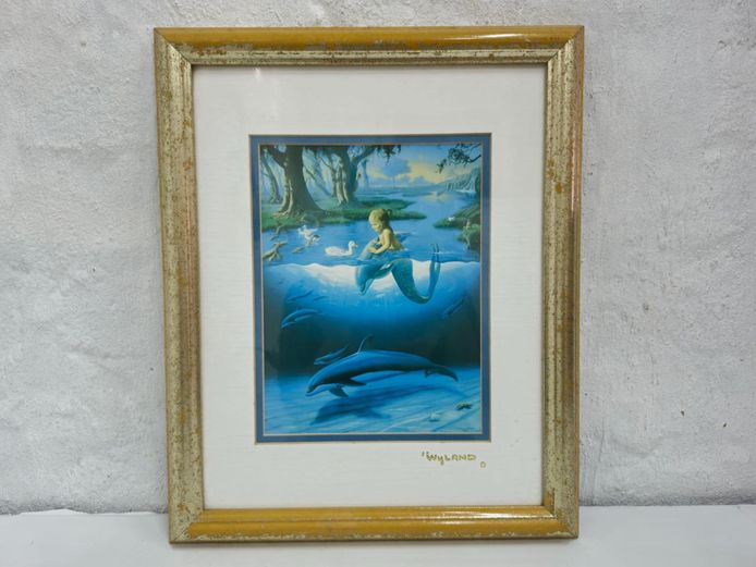 Framed Robert Wyland Signed Marine Life Print