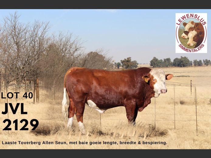 JVL2129 | JSH VAN DER LINGEN