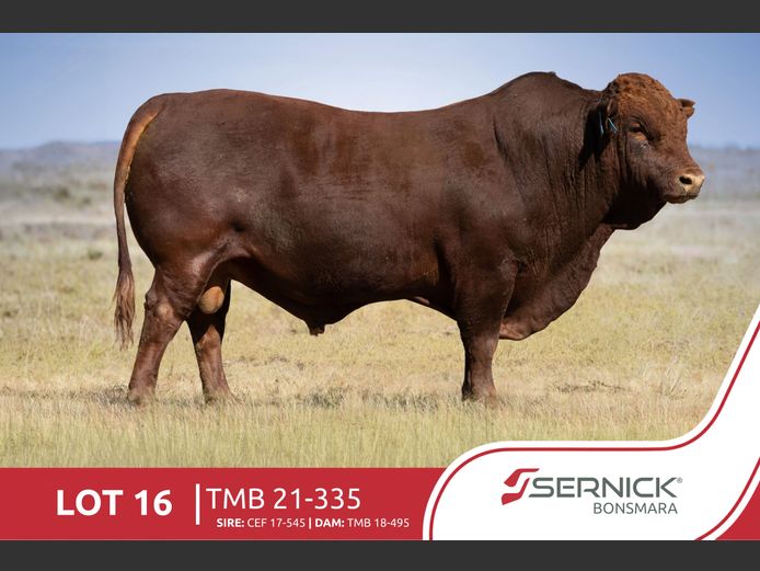 TMB 210335 | ROOIVELD BONSMARAS