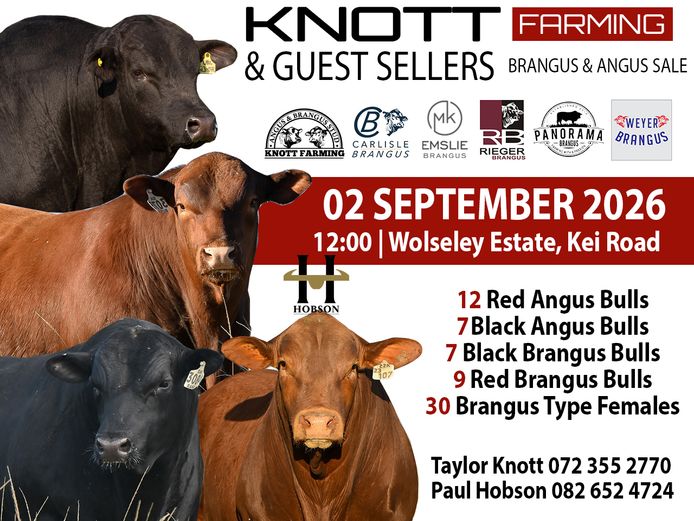 KNOTT FARMING BRANGUS & ANGUS BULL & PRODUCTION SALE