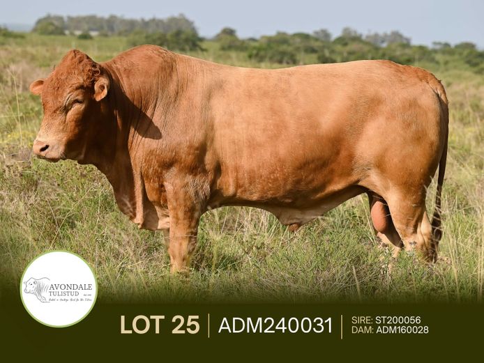 ADM240031 | A.D. MULLINS