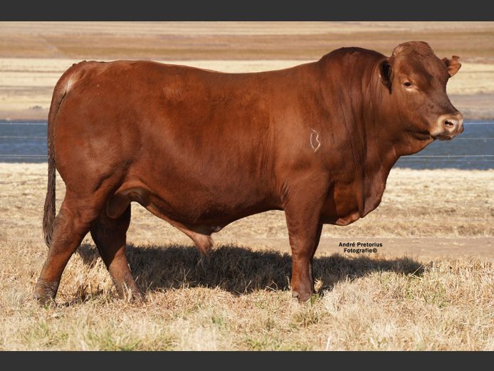 AG220706