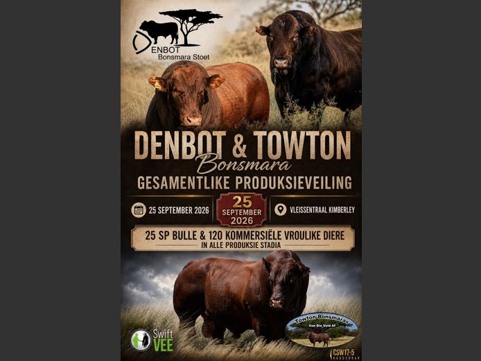 DENBOT & TOWTON BONSMARA GESAMENTLIKE PRODUKSIEVEILING