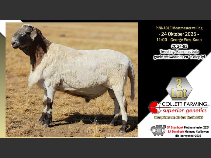 CC  240083 | COLLETT FARMING CC