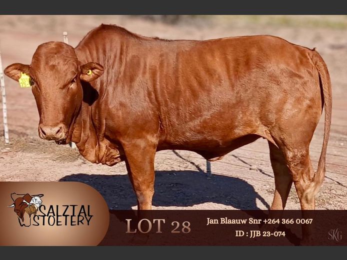 JJB 230074 | SALZTAL STOETERY