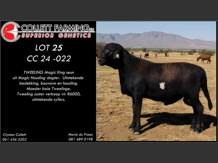 CC 240022 | COLLETT FARMING CC