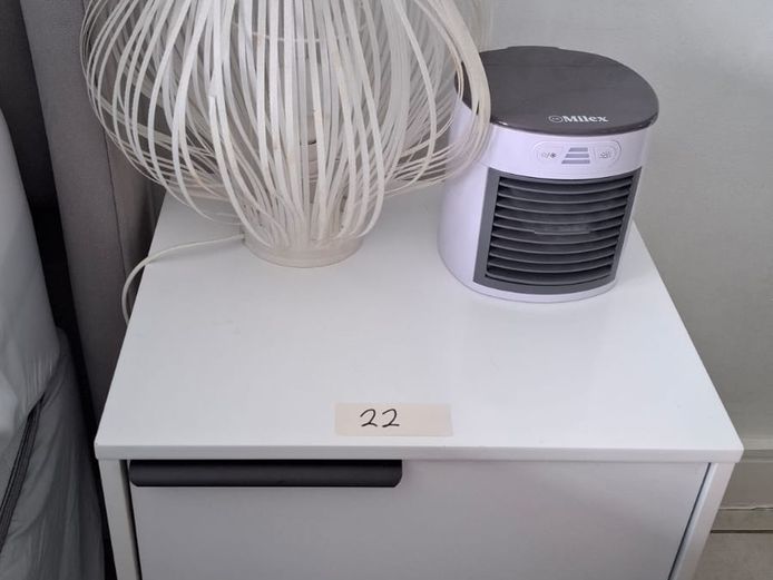 2 x Bedside cabinets, electric lamp, fan & ornaments