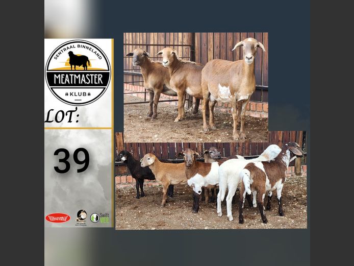 Ooie | Ja-Nee Boerdery