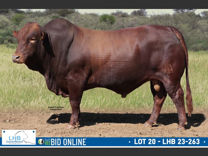 LHB 230263 | LEEUHEUWEL BOERDERY (EDMS) BPK