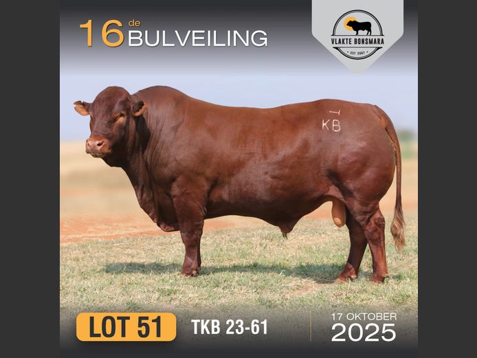 TKB 230061 | TIAN KRUGER BOERDERY PTY LTD