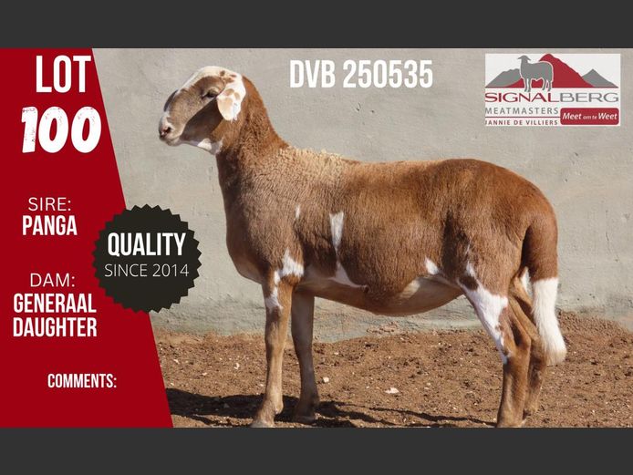 DVB 250535 | SIGNALBERG MEATMASTERS