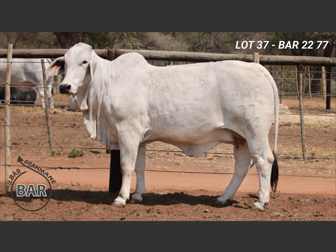 BAR2277 | BARNARD WJ