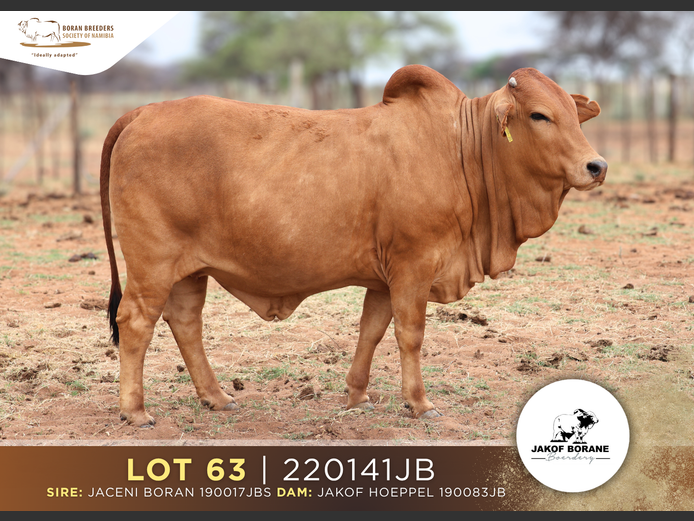 22-0141JB | JAKOF BORANE