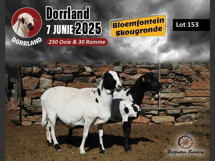 RFB21-17 | Nickie Visser - Rietfontein Boerdery, Fraserburg