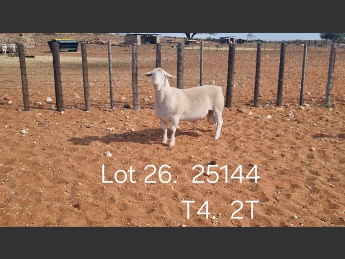 916250144W | R.J. CAHI & SON CC