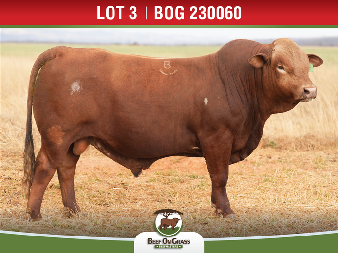 BOG 230060 HH | BEEF ON GRASS PTY LTD