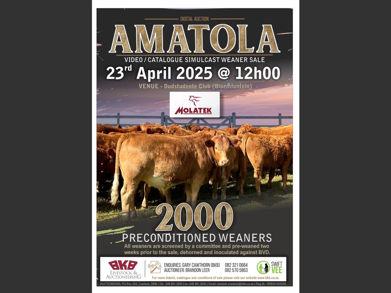 poster