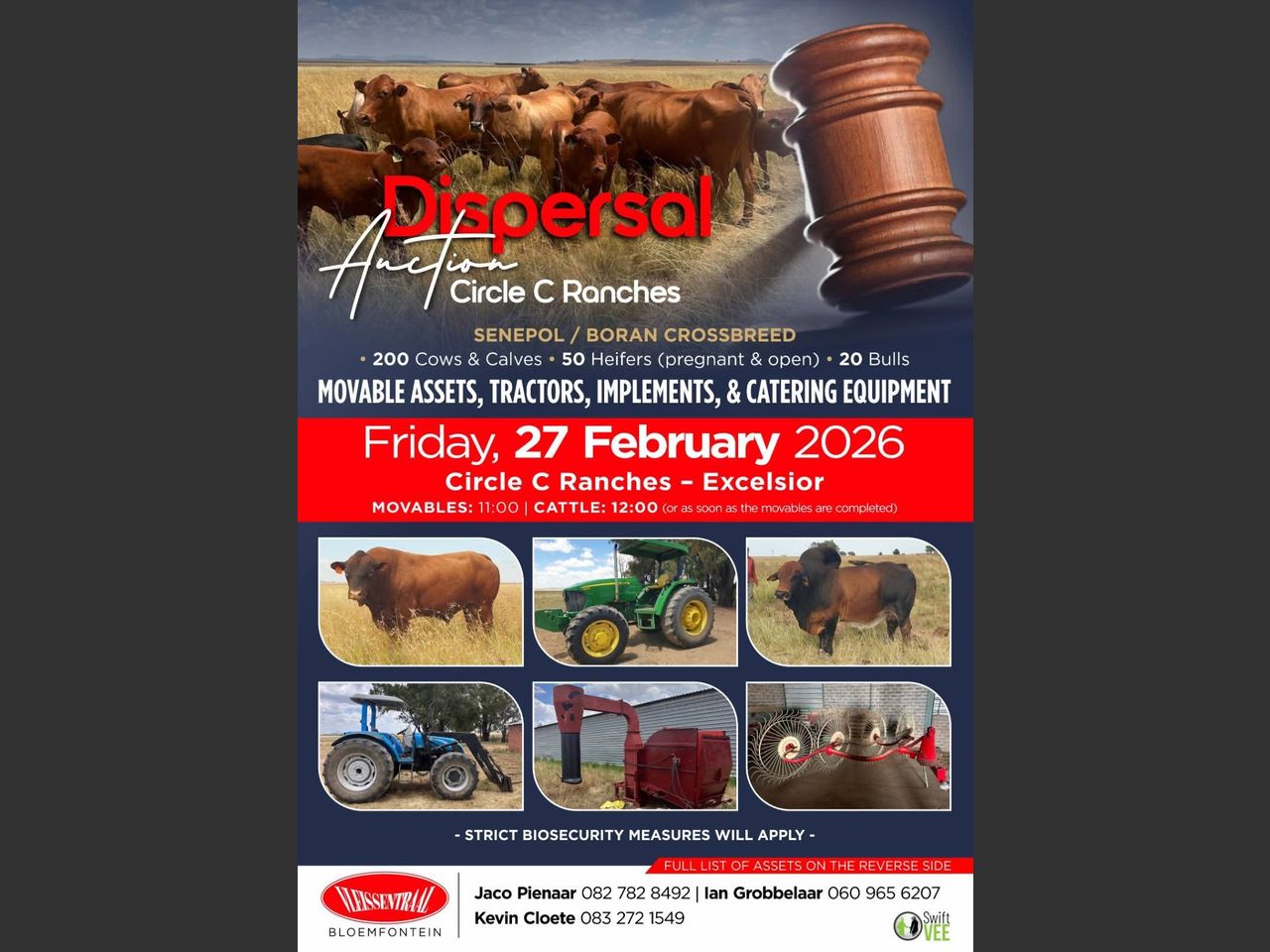 Lot 1A | CIRCLE C RANCHES DISPERSAL AUCTION | SwiftVEE | South Africa’s ...