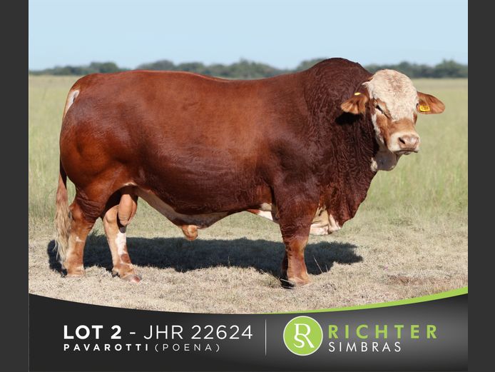 JHR22624