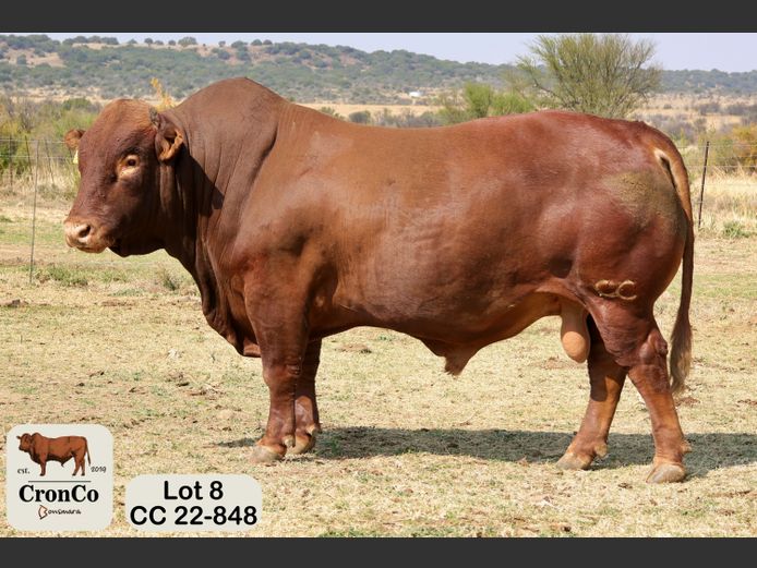 CC 220848 | CRONCO AGRI